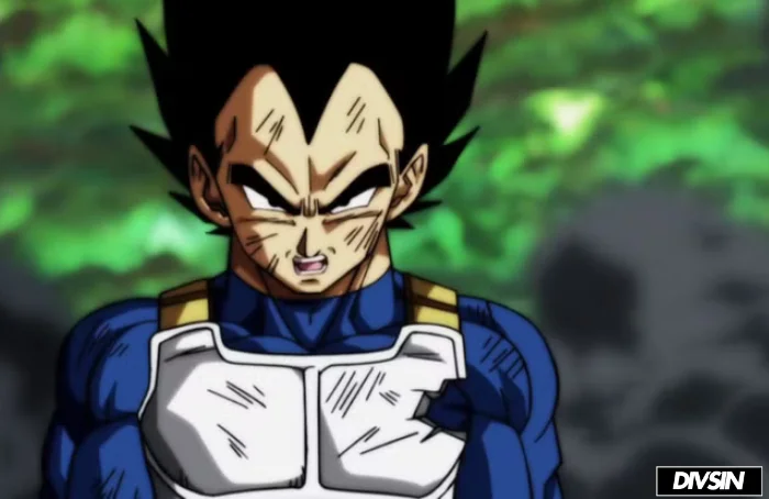 Vegeta In Tournament Of Power Dragon Ball Super