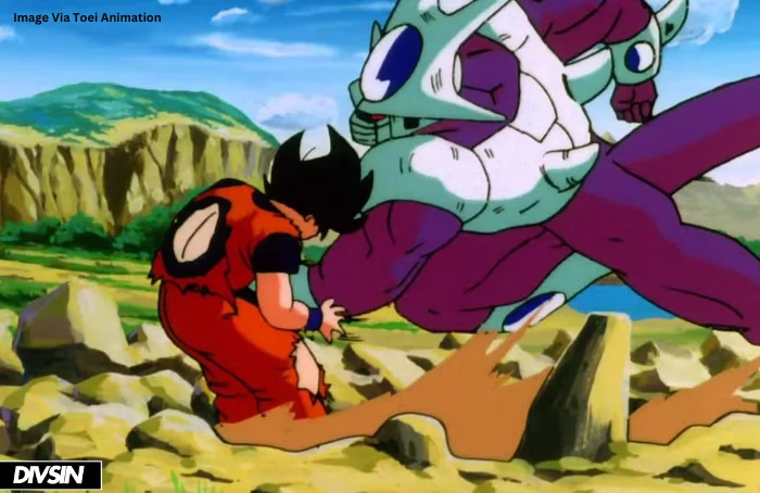 Final Form Cooler