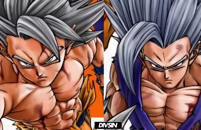 Dragon Ball Super Volume 24
