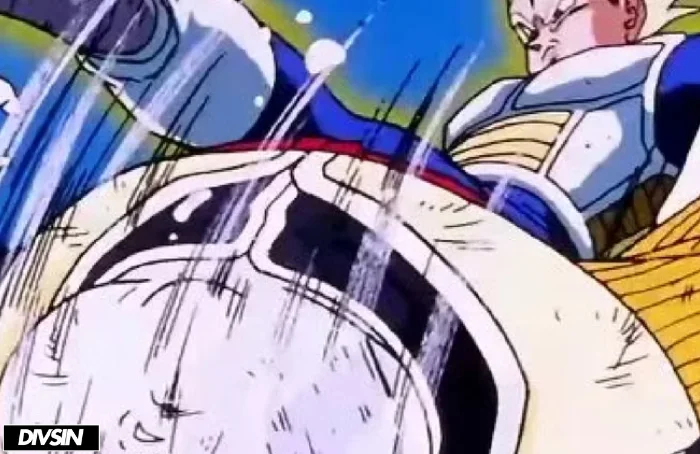 Vegeta Vs Android 19