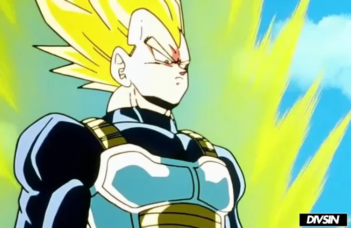 Vegeta Vs Android 19