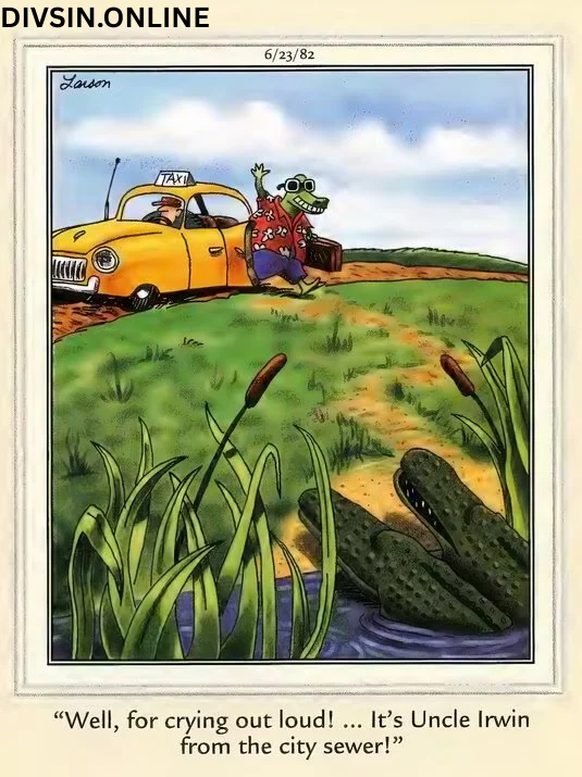 Far Side Comics